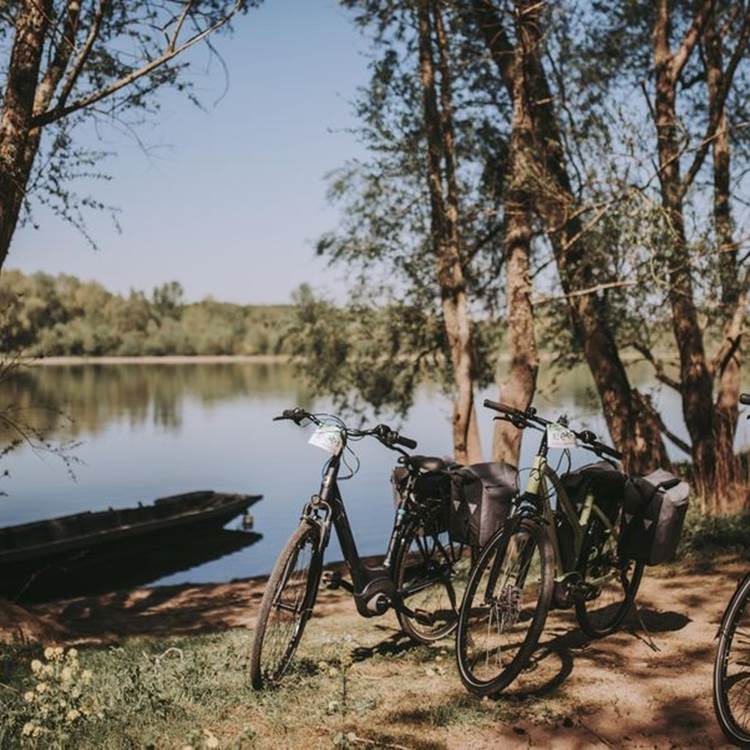 rent-bike-location-velo-electrique-loire