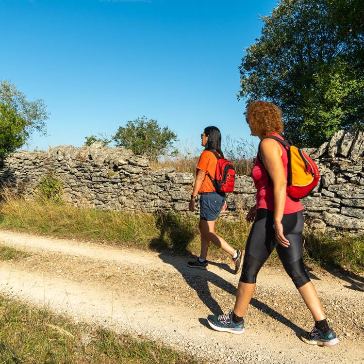 Sans titre-photo-page