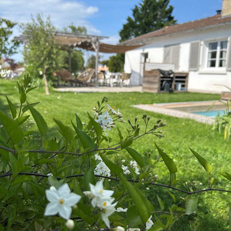 Sans titre-photo-page
