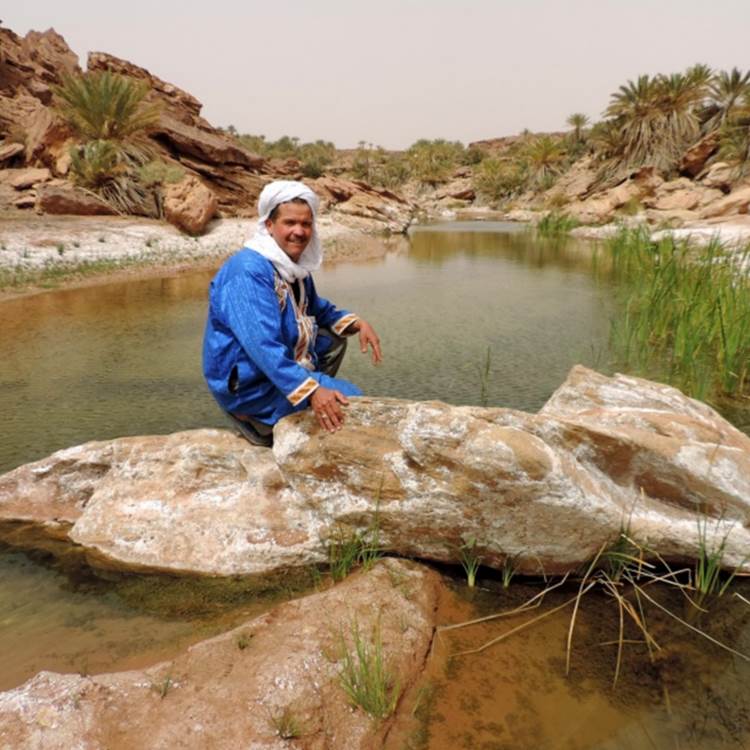 L'oasis de Saf Saf-photo-news