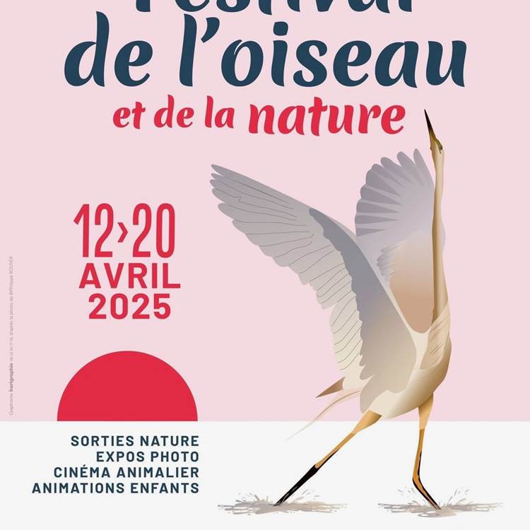 © Festival de l'oiseau 2025-photo-news