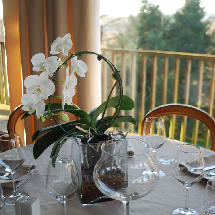 Sans titre-photo-page