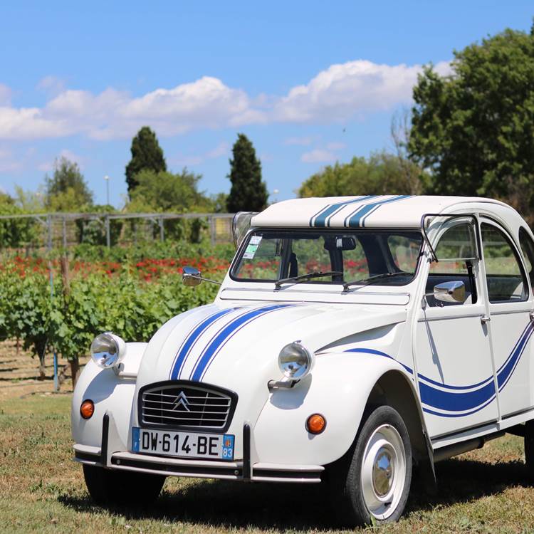 location-2cv-viavino-ballade-petite-camargue-oeunologie-degustation-muscat-vin