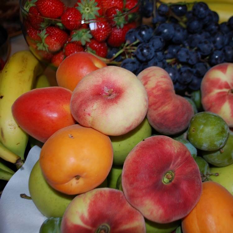 fruits de saison au petit déjeuner gourmand/brunch du Ranch des Lacs Hôtel 87120-photo-page
