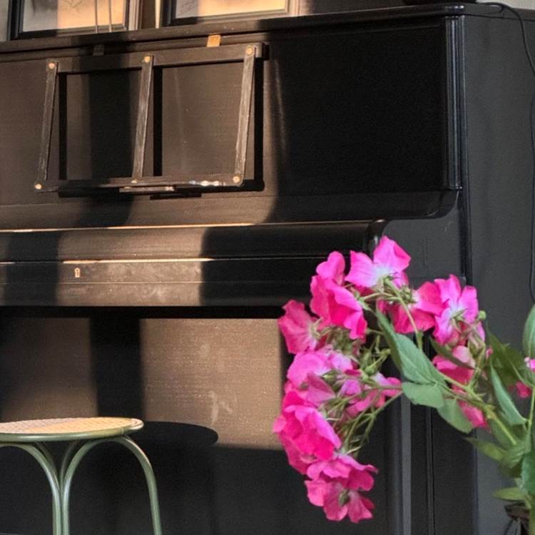 Sans titre-photo-page