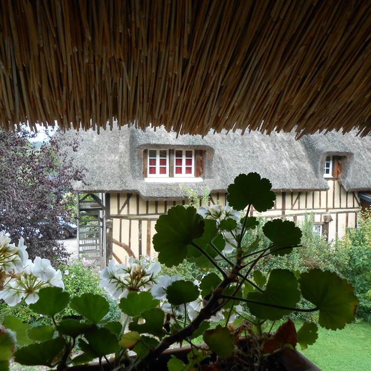 Vue chaumière