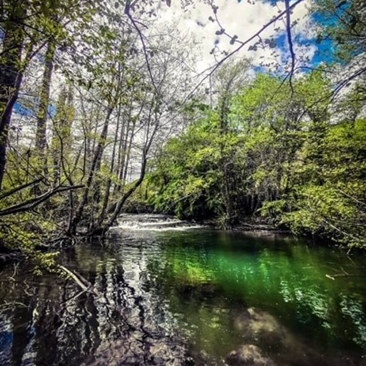 dordogne-photo-page