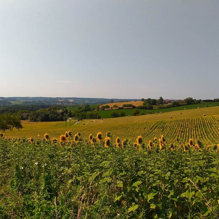 Sans titre-photo-page