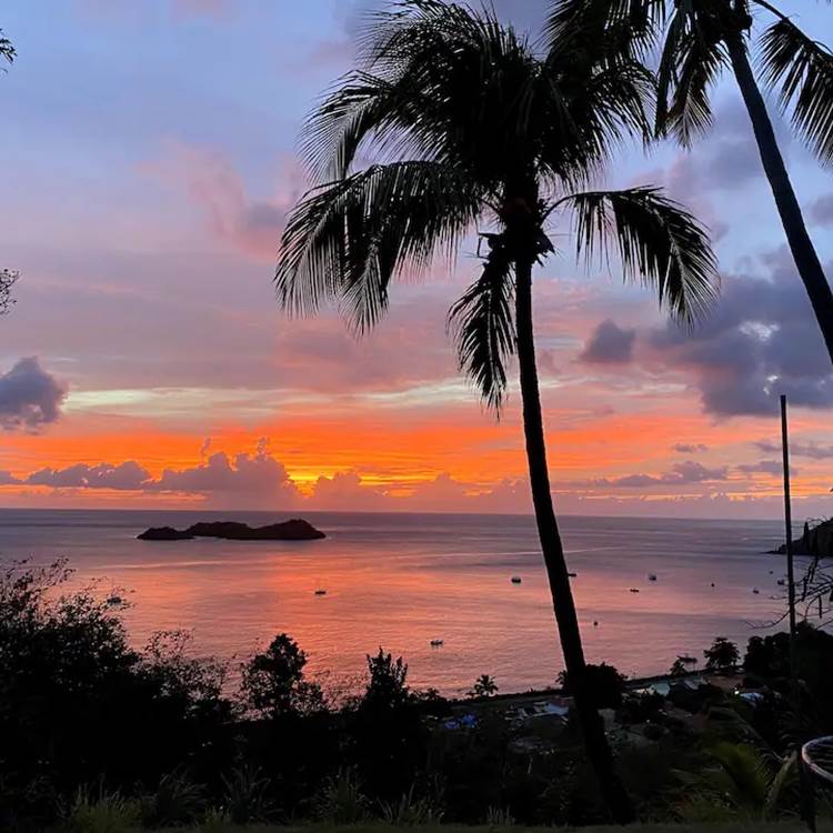 Coucher de soleil sur la Réserve Cousteau