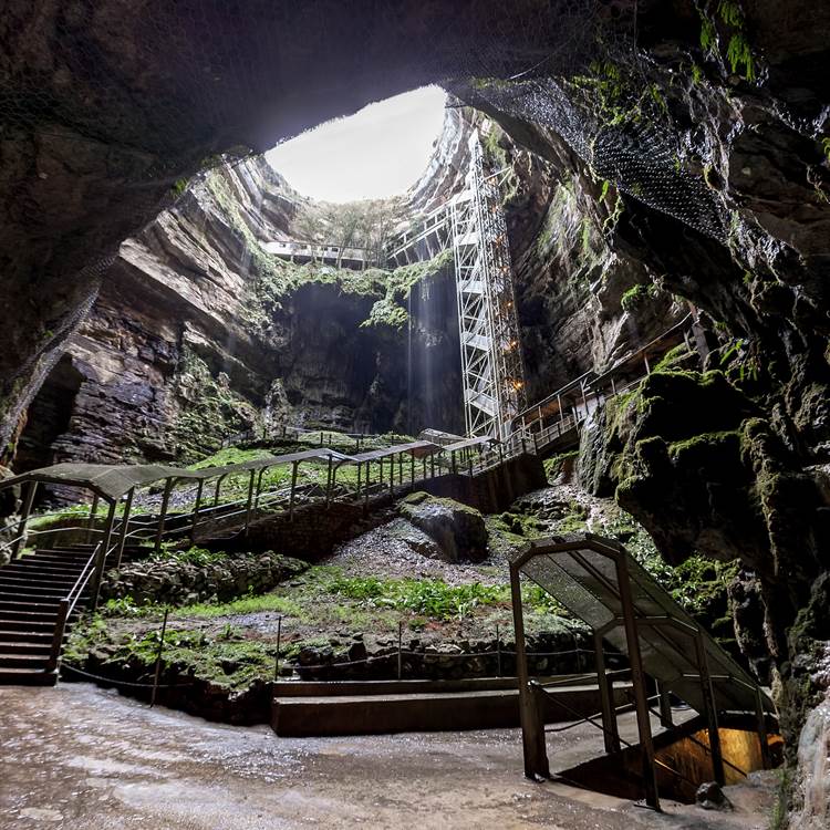 Sans titre-photo-page