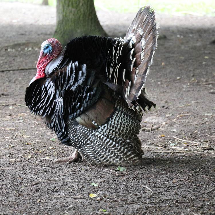 Sans titre-photo-page