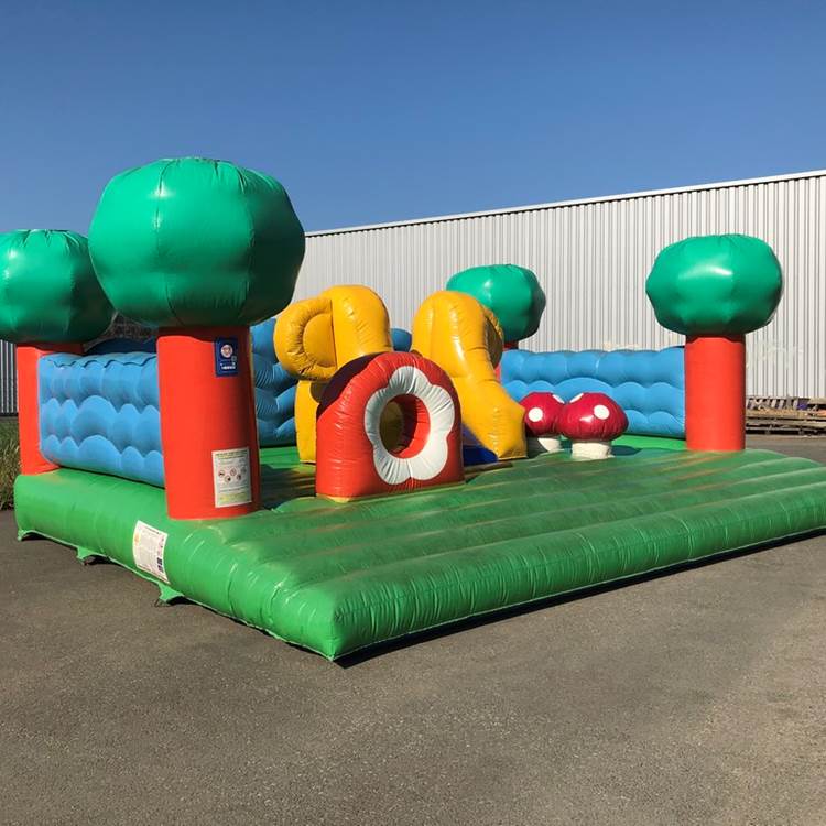 JEU GONFLABLE