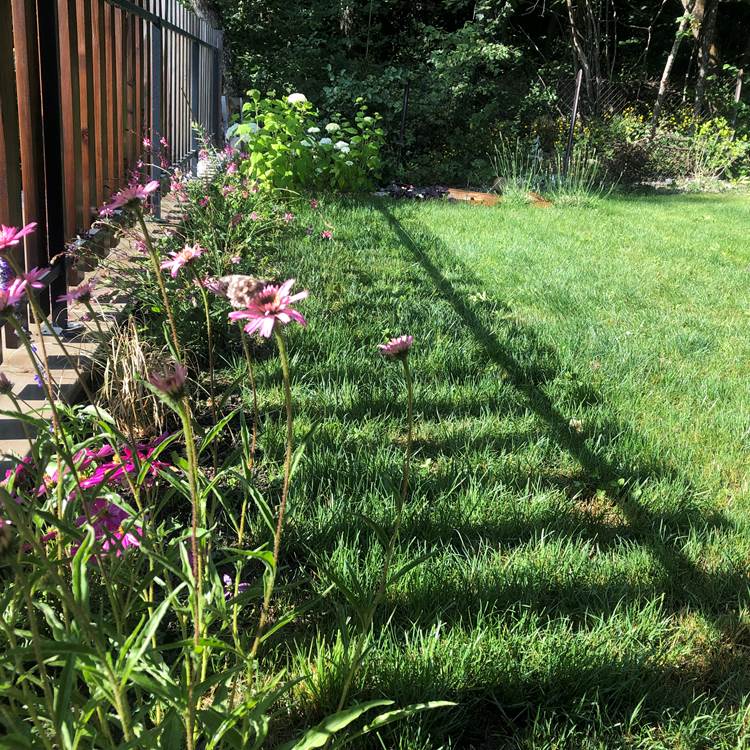 tempImagevBwzMQ-galerie