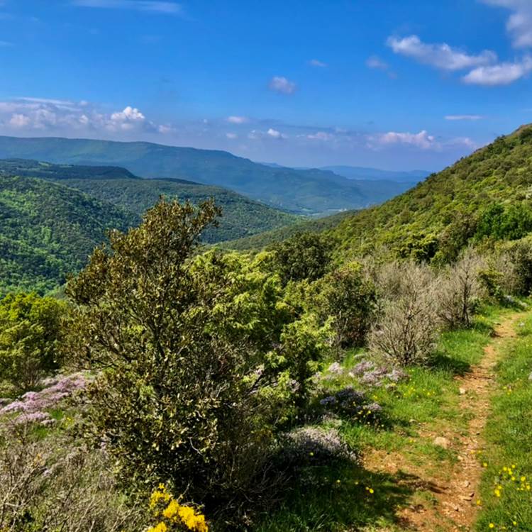randonnée dans les Corbieres-photo-page