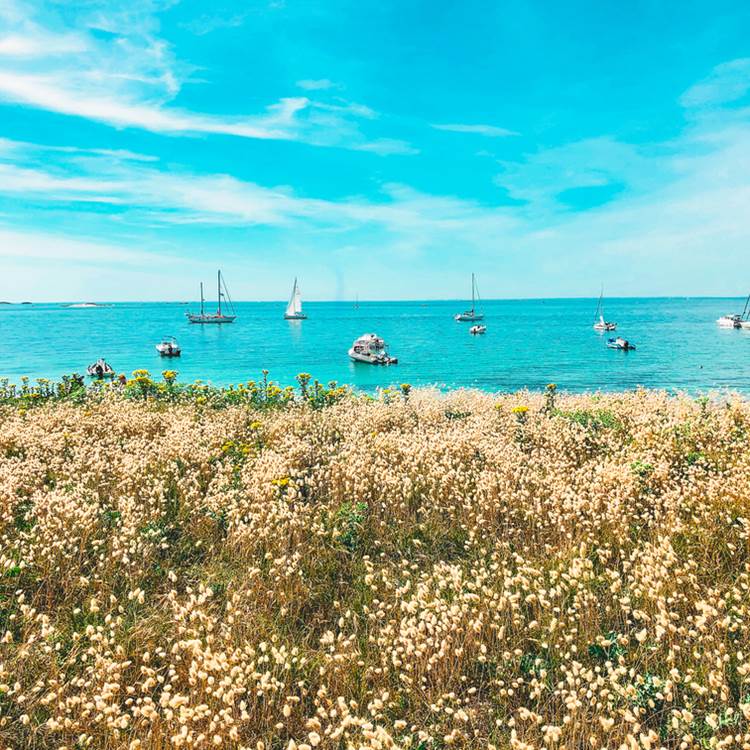 Île de Penfret les Glénan Fouesnant-photo-page
