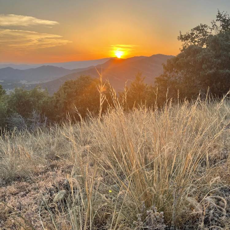 Sans titre-photo-page