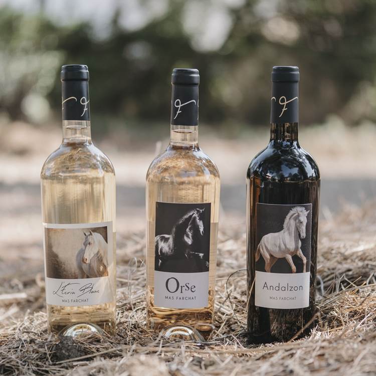Les vins AOP Languedoc du Mas Farchat-photo-page
