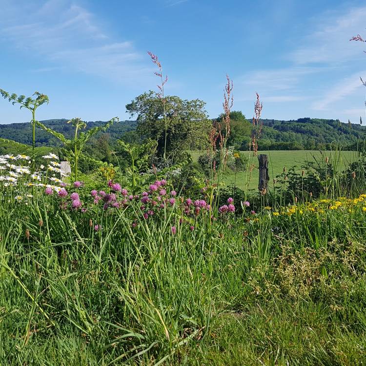 vue devant la Maison du Masjoubert chambre d'hôte Augne-photo-page