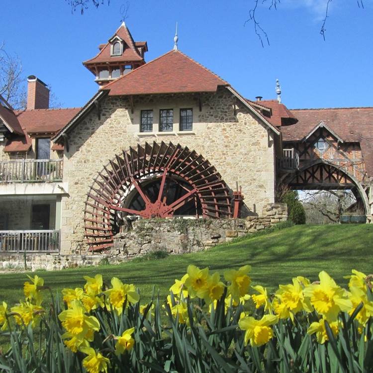 Moulin des Combes en avril avec les jonquilles
