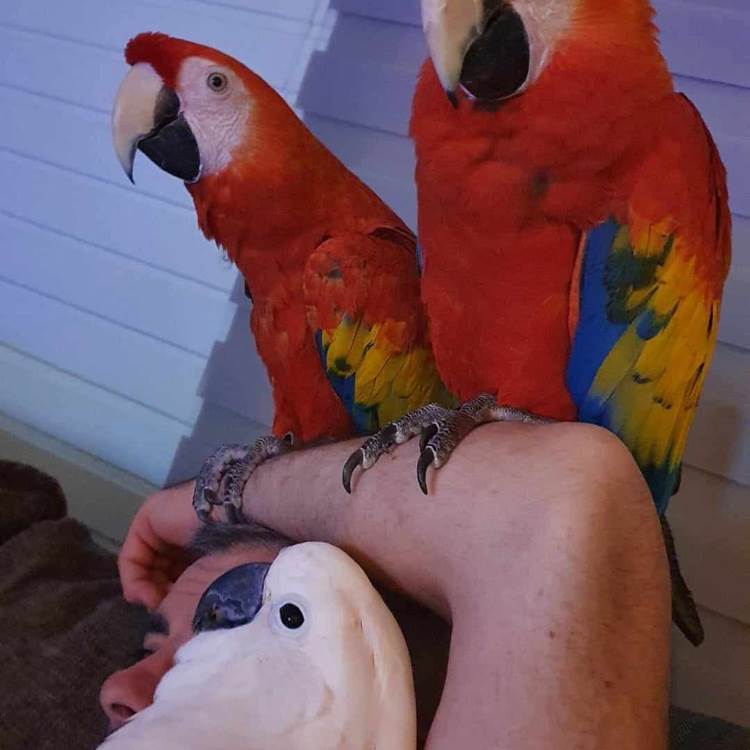 hébergement avec animaux-photo-page