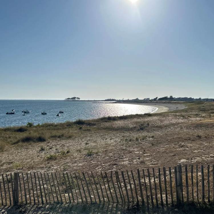 Locmariaquer - Plage de la Falaise (2)