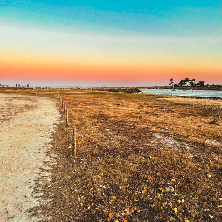 Port La Forêt-photo-news