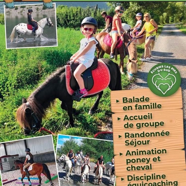 Ecuries les Pies du Sud - Rochebrune-photo-page