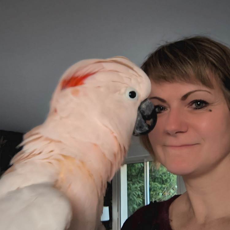 perroquets maison d’hôtes La Flèche expérience unique Sarthe-photo-page