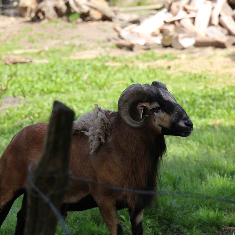 Sans titre-photo-page