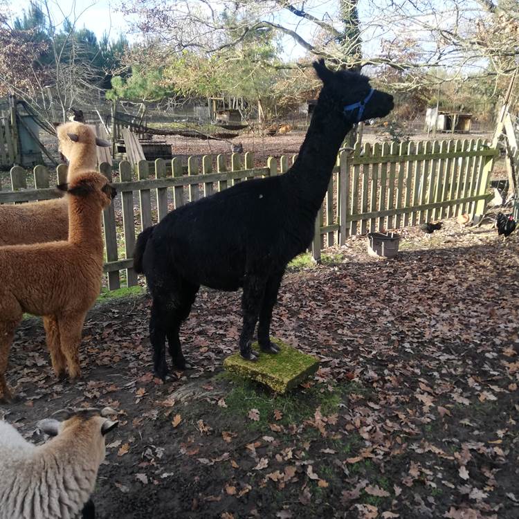 Sans titre-photo-page