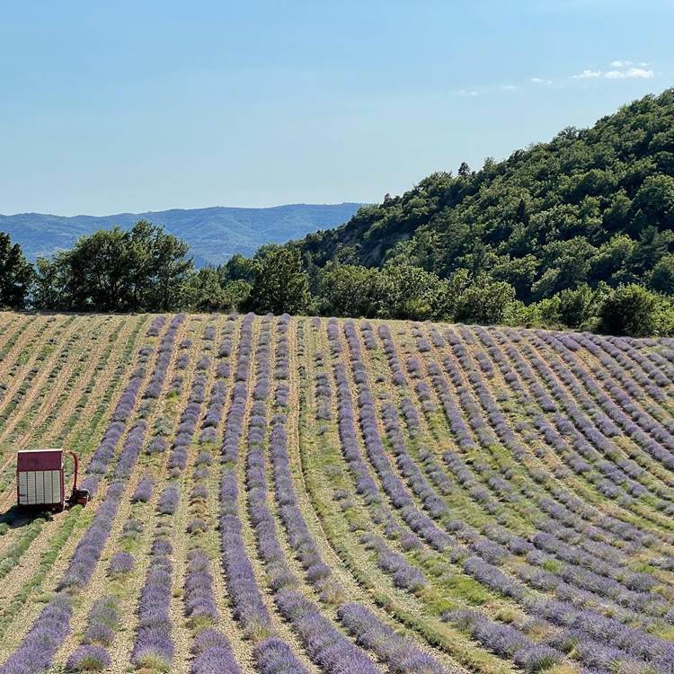 Sans titre-photo-page