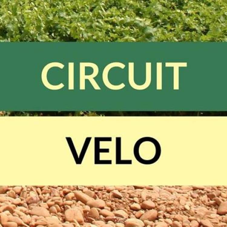 Circuit Vélo-photo-page