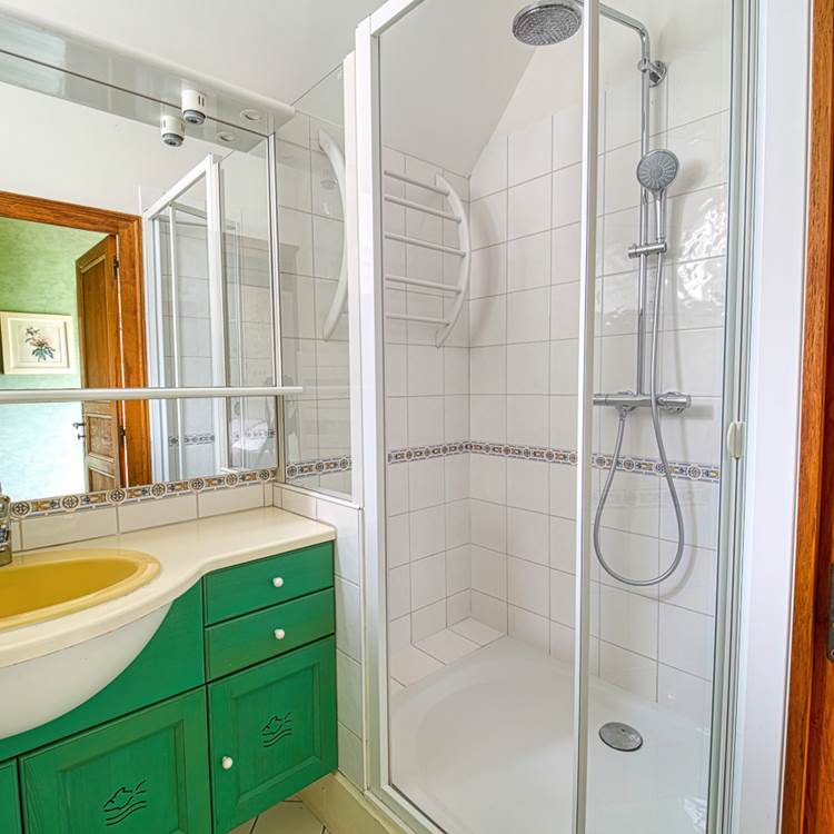 chambre-1er-etage-salle-d-eau-douche-annexe-photo-page