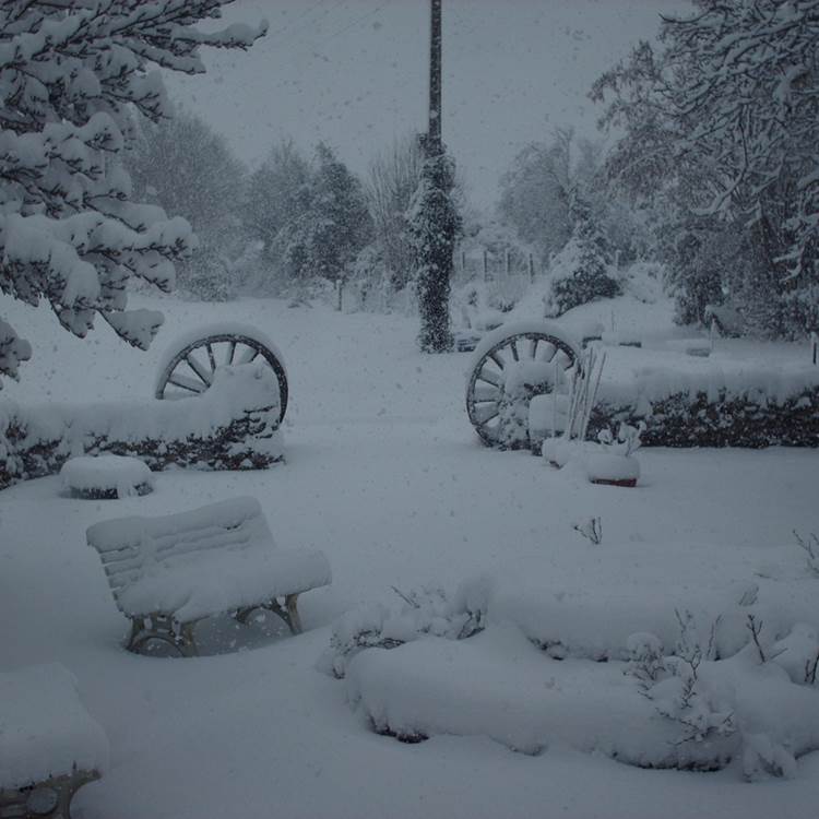 parc et jardins sous la neige au Ranch des Lacs-photo-page
