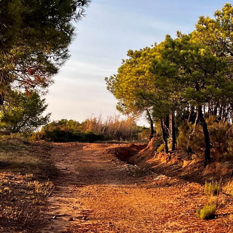 place aux balades-photo-news
