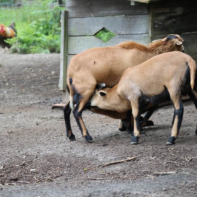 Sans titre-photo-page