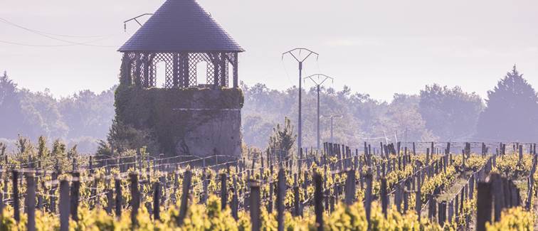 Chateau Senejac 2024.05 Exterieurs-80