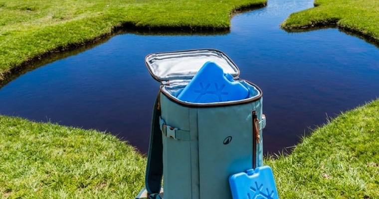 pique-nique-corse-domaine-cardu