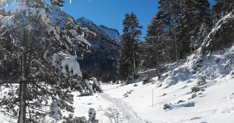 Randonnée raquettes depuis le Pont d'Espagne à Cauterets