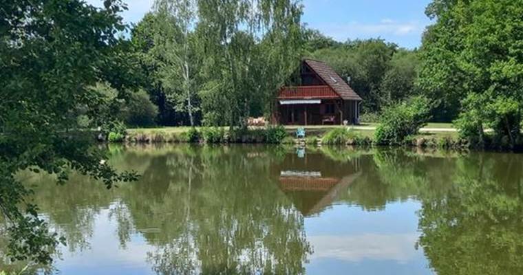 La vu depuis l'étang