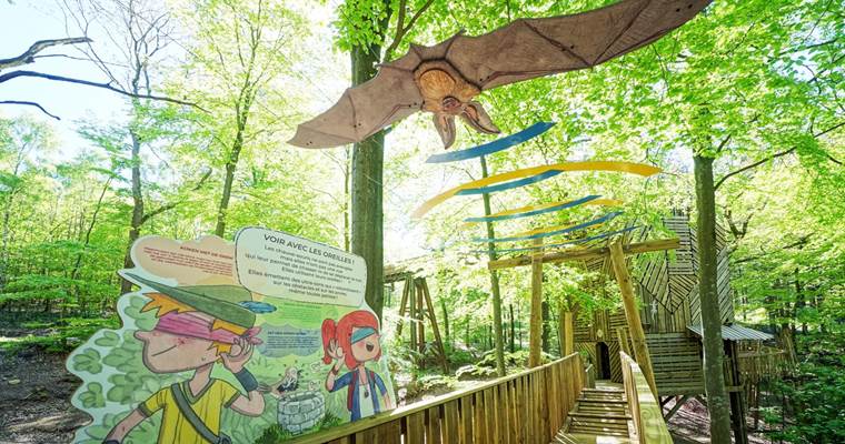 Chlorophylle Parcours cime des arbres