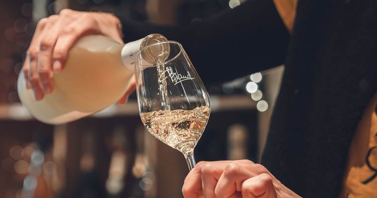 Dégustation de 7 vins du domaine