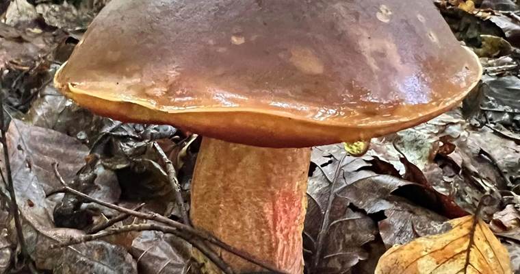 459593660_10231870369760095_2434730318125841251_n