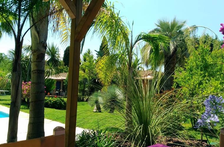 terrasse, vue à partir de la piscine