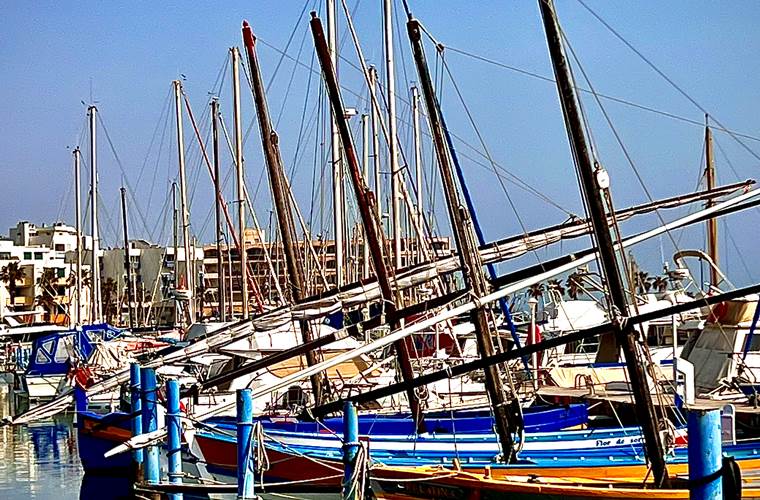 Les barques Catalane du port
