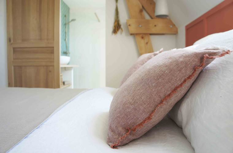 Chambre-Tilleul-coussin-Maison-Chemin-chambres-d-hotes-Amboise-Touraine-Centre-Val-de-Loire