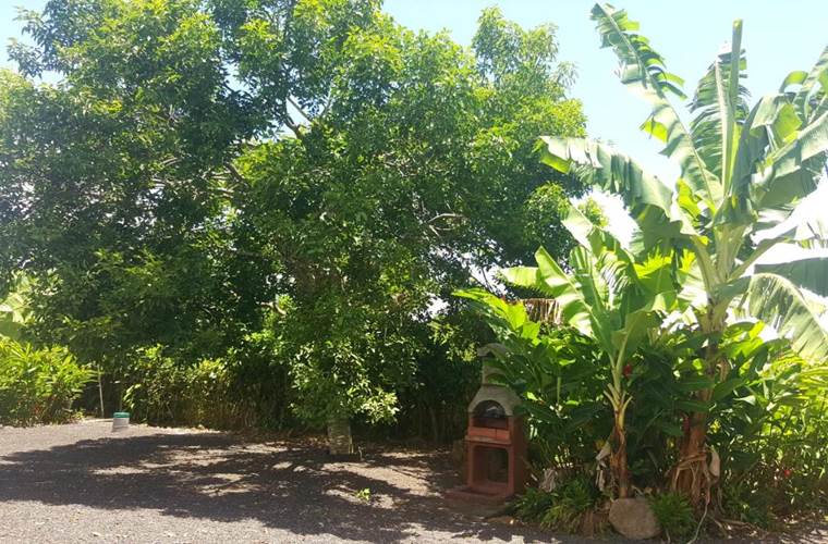 Gite_Rural_Flane_Capesterre_Belle_Eau_Guadeloupe_vacances