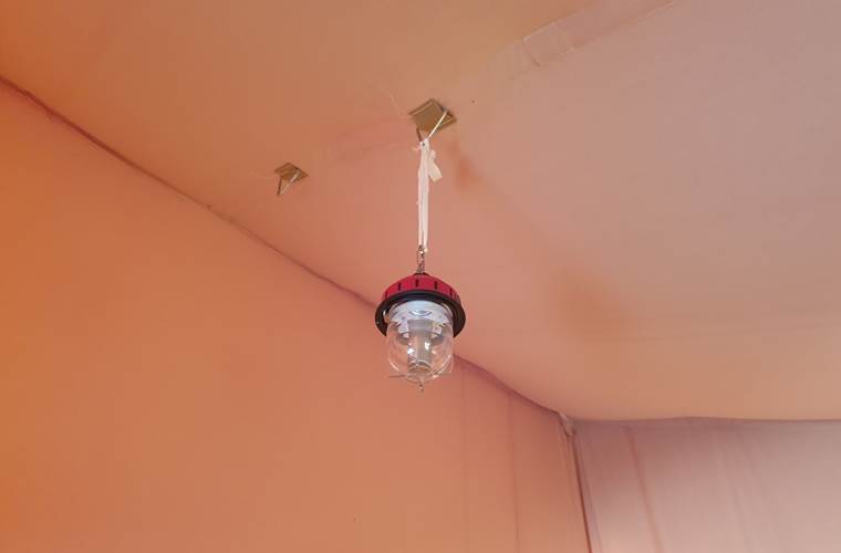 t3 lampe