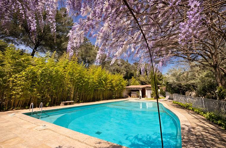Piscine avec Glycine