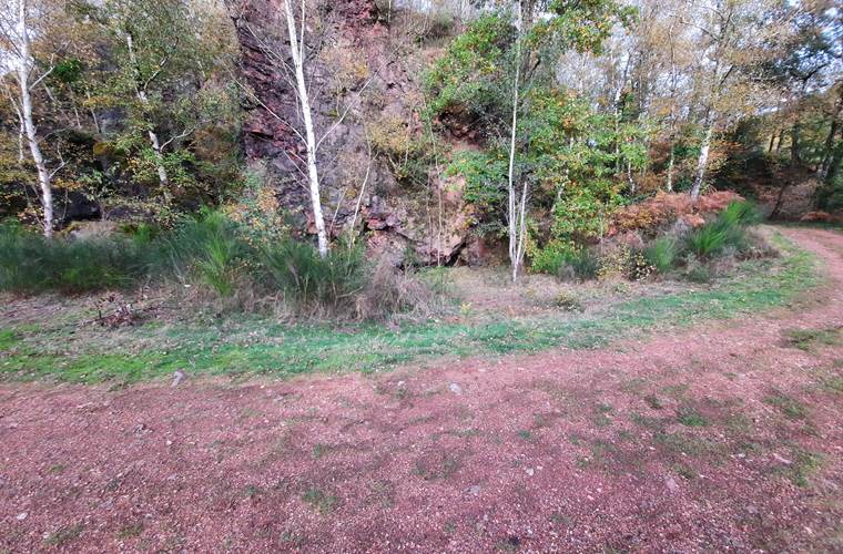 forêt de la Vaysse